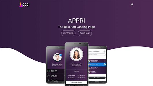 Appri Demo 1