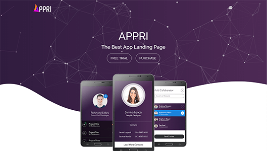 Appri Demo 2