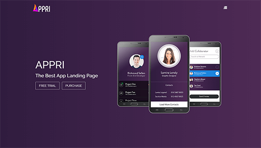 Appri Demo 3