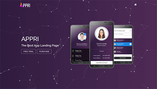 Appri Demo 4
