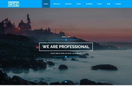 WDZ Corporate Landing Page